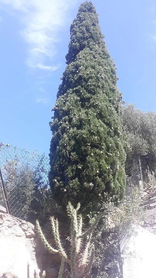 Villa Azul Roses